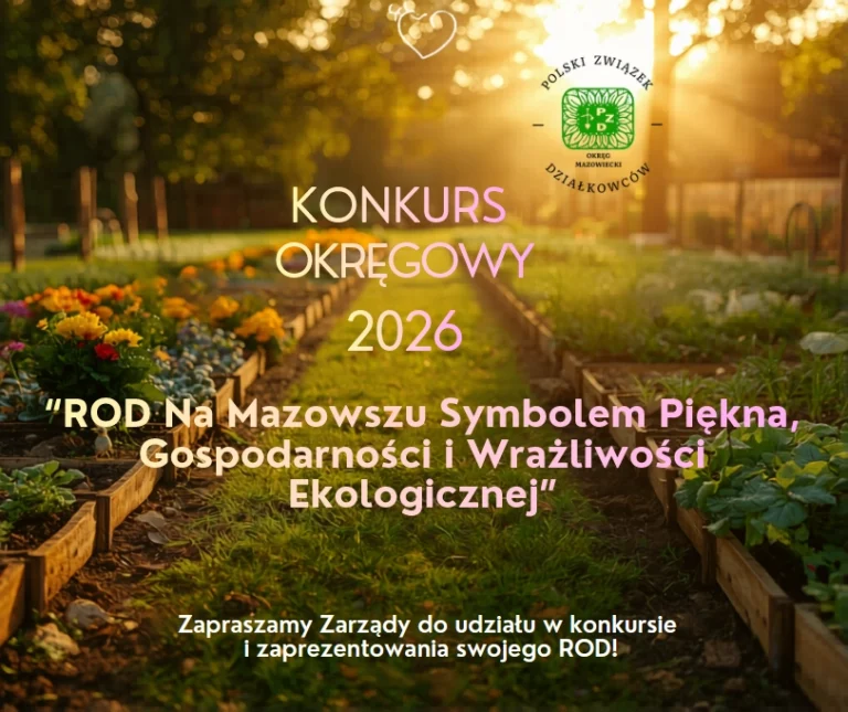 Konkurs okręgowy